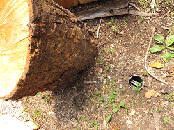 薪割で庭の配管を壊す